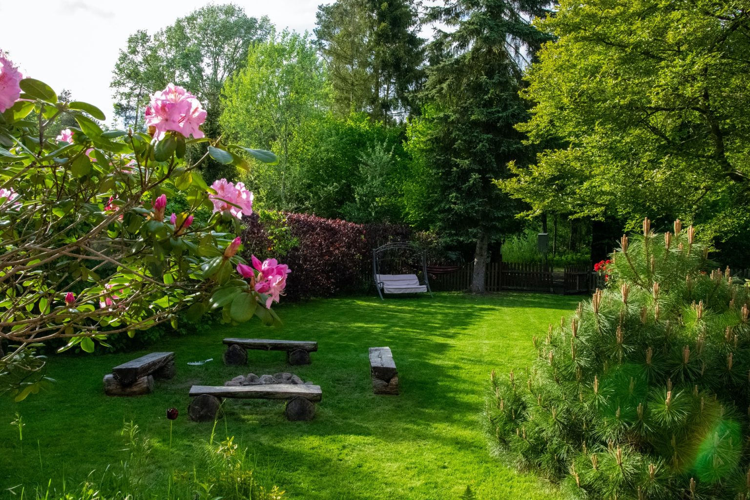 Faire De L Ombre Dans Son Jardin Kazuto