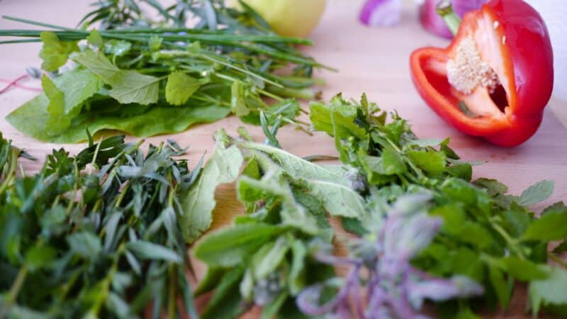 Quelles sont les meilleures épices et herbes pour accompagner les conserves de poissons ?